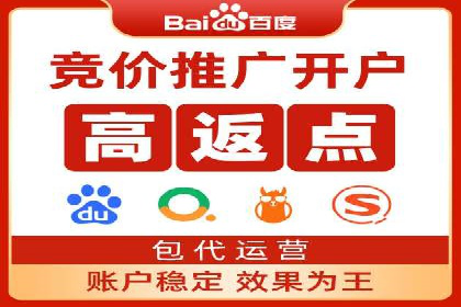 百度推广平台案例剖析：揭秘广告投放策略